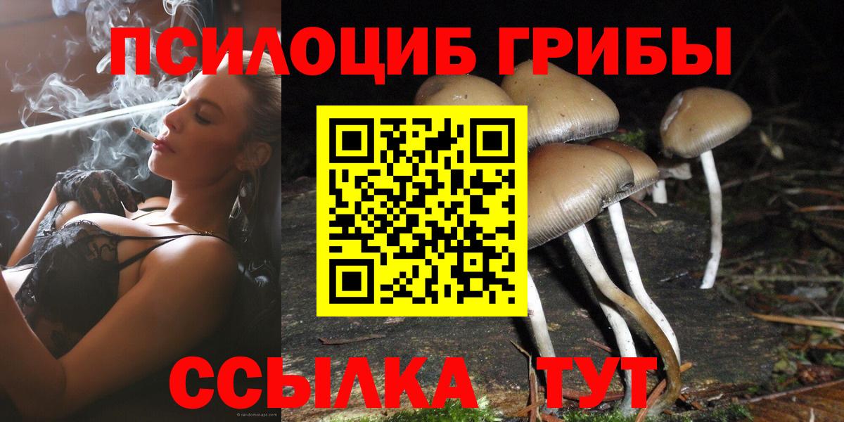 Псилоцибиновые грибы мицелий  Галлюциногенные грибы ЛСД  Казань  купить закладку  Вход с VPN 