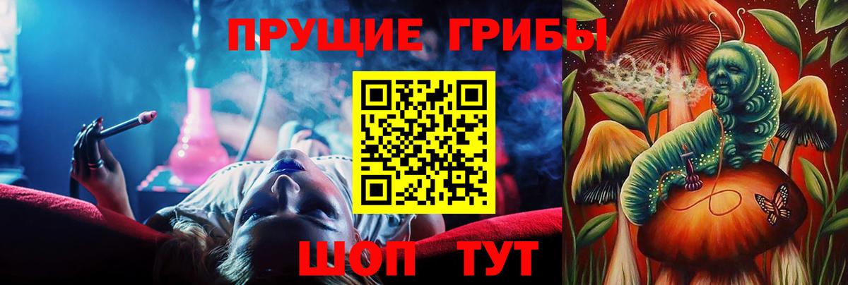 Псилоцибиновые грибы MAGIC MUSHROOMS Казань
